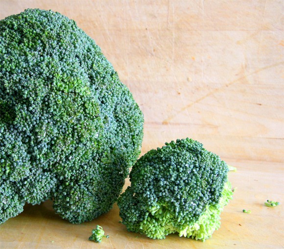 Broccoli is brain food