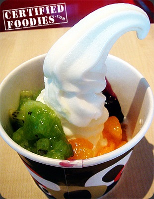 Red Mango's Frozen Yogurt with Blueberry, Kiwi and Mandarin Orange Toppings - CertifiedFoodies.com