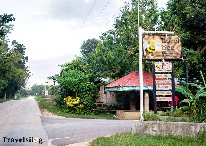Entering the street going to Bohol Bee Farm