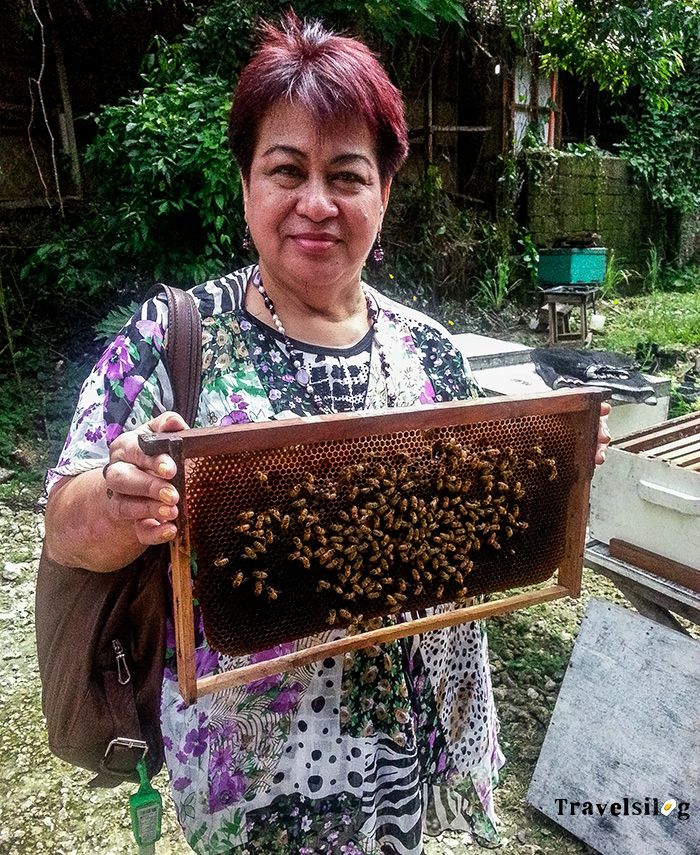 Nanay holding the bees during the tour