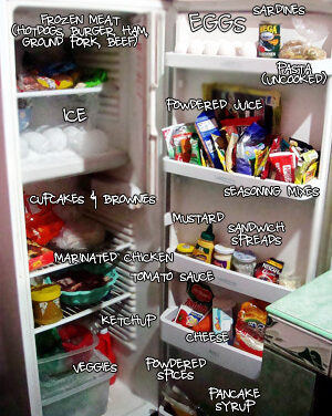 What’s Inside your Refrigerator?