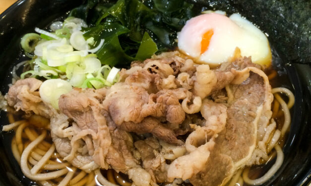 Nadai Fujisoba: No Ramen Here, Just Soba and Udon